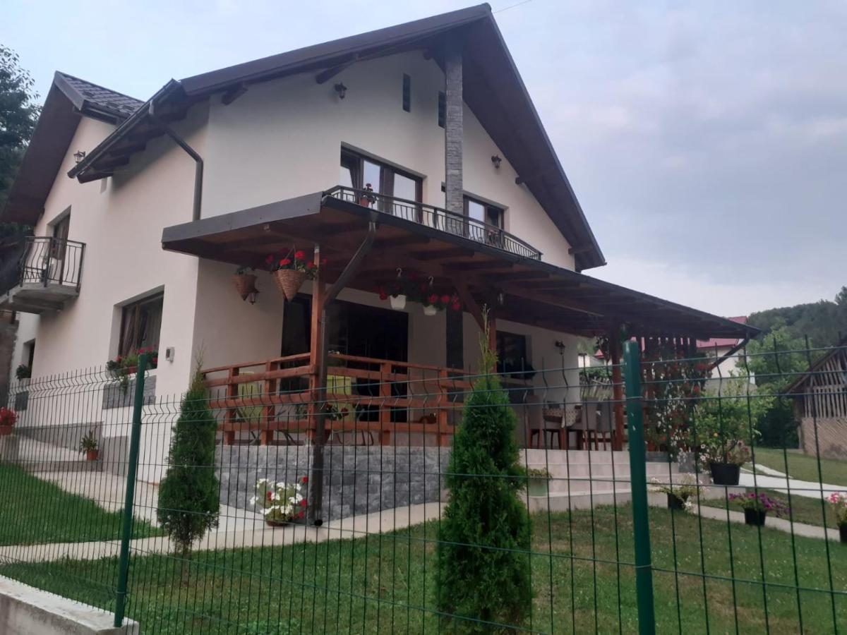 Отель Casa Alex Куртя-де-Арджеш Экстерьер фото