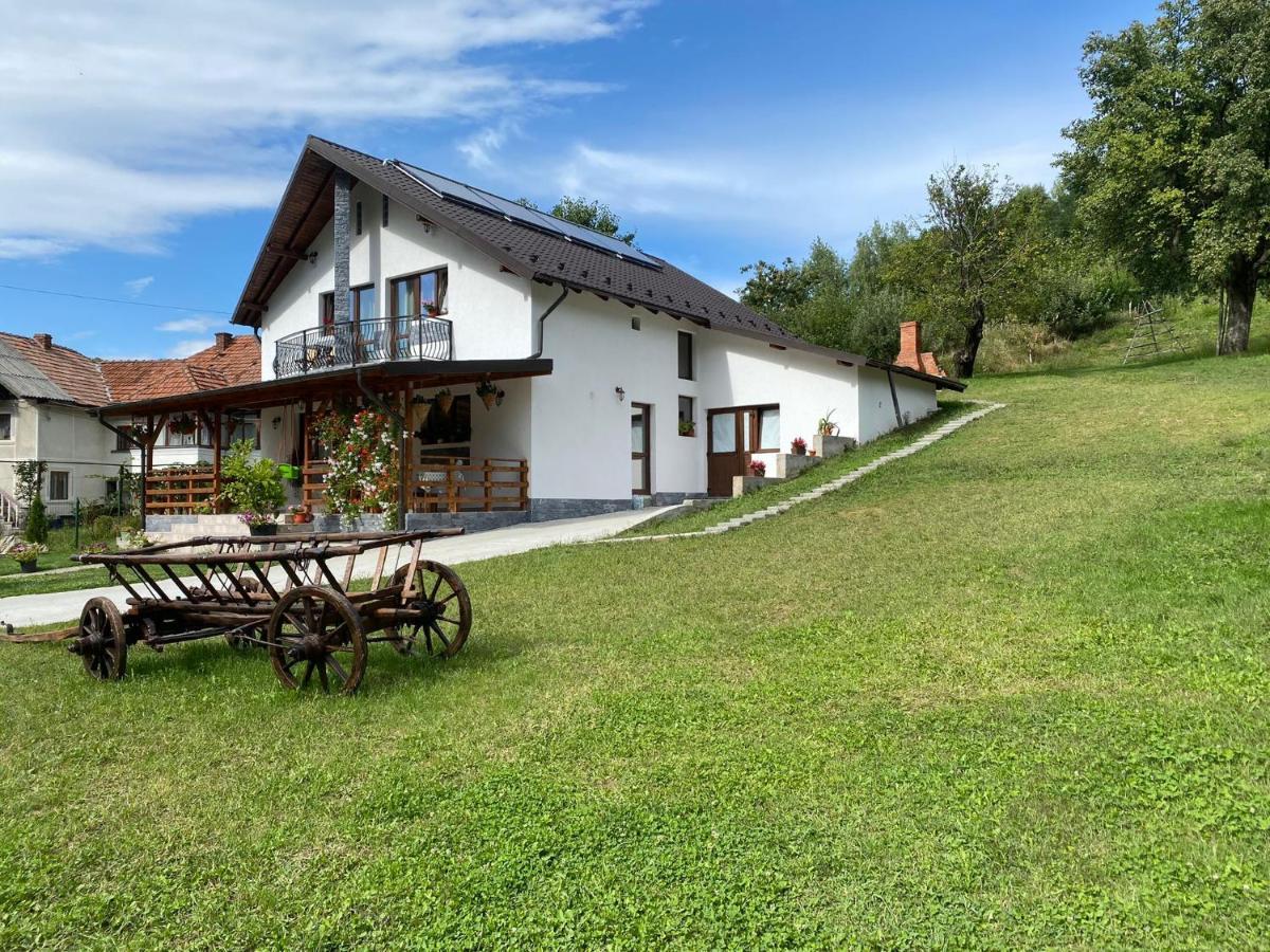 Отель Casa Alex Куртя-де-Арджеш Экстерьер фото